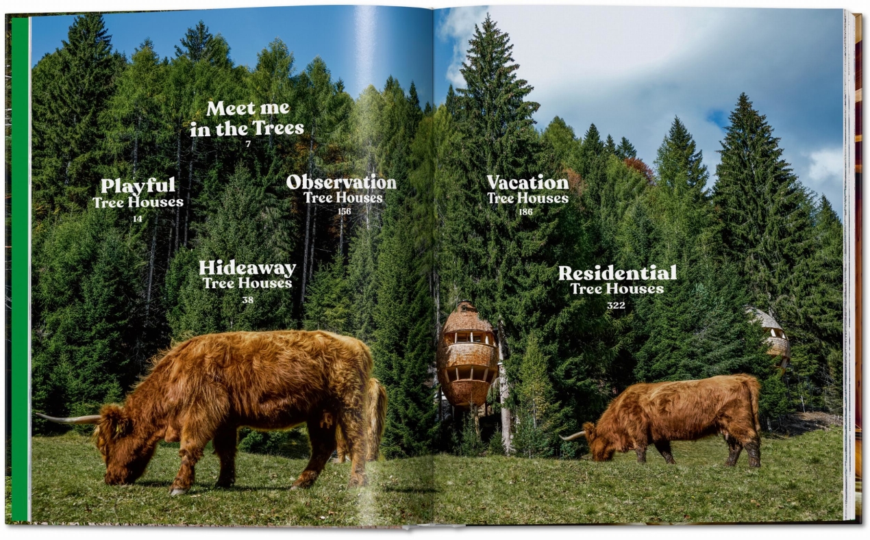 Modern Tree Houses - Imagen 2 de 20