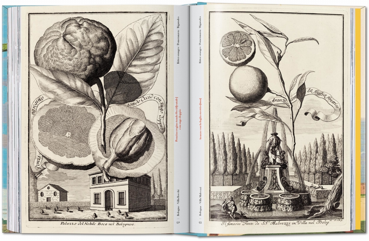 J. C. Volkamer. The Book of Citrus Fruits. 45th Ed. - Image 23 of 23