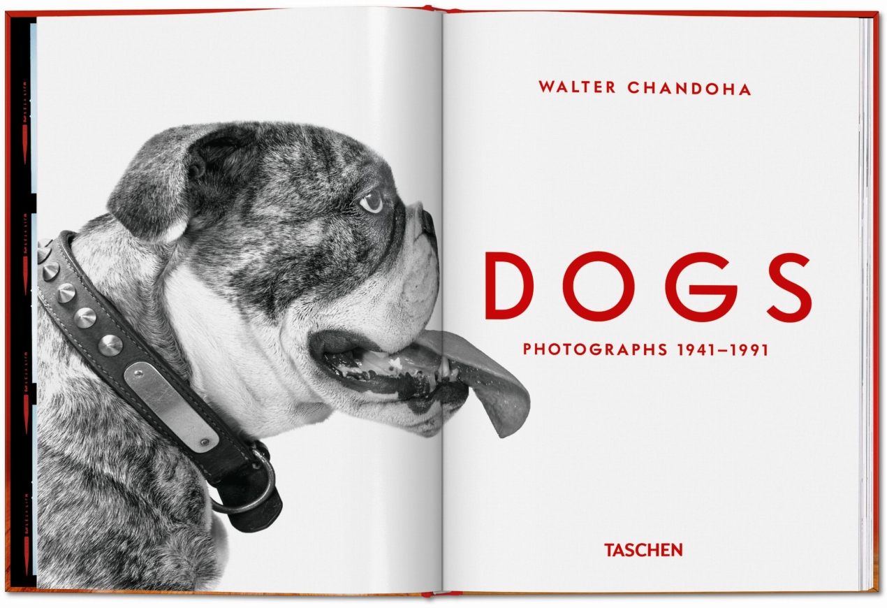 Walter Chandoha. Dogs. Photographs 1941–1991 - Bild 2 von 26