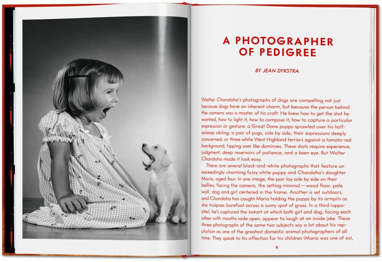 Walter Chandoha. Dogs. Photographs 1941–1991 - Bild 5 von 26