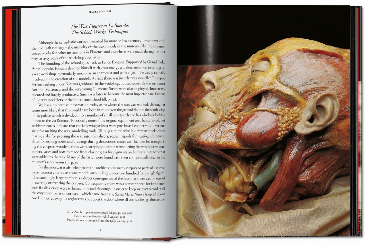 Anatomical Waxes. 45th Ed. - Bild 4 von 26