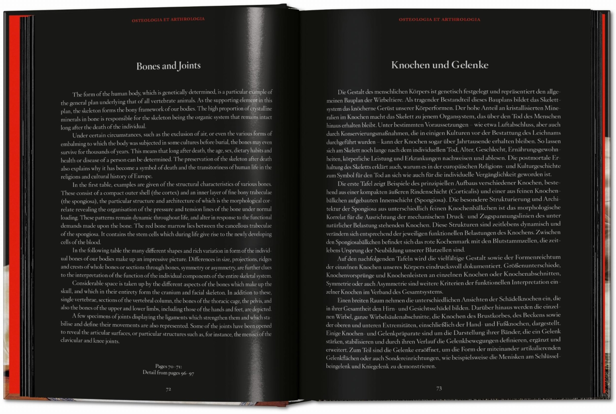 Anatomical Waxes. 45th Ed. - Bild 8 von 26