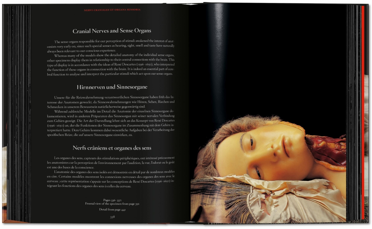 Anatomical Waxes. 45th Ed. - Bild 21 von 26