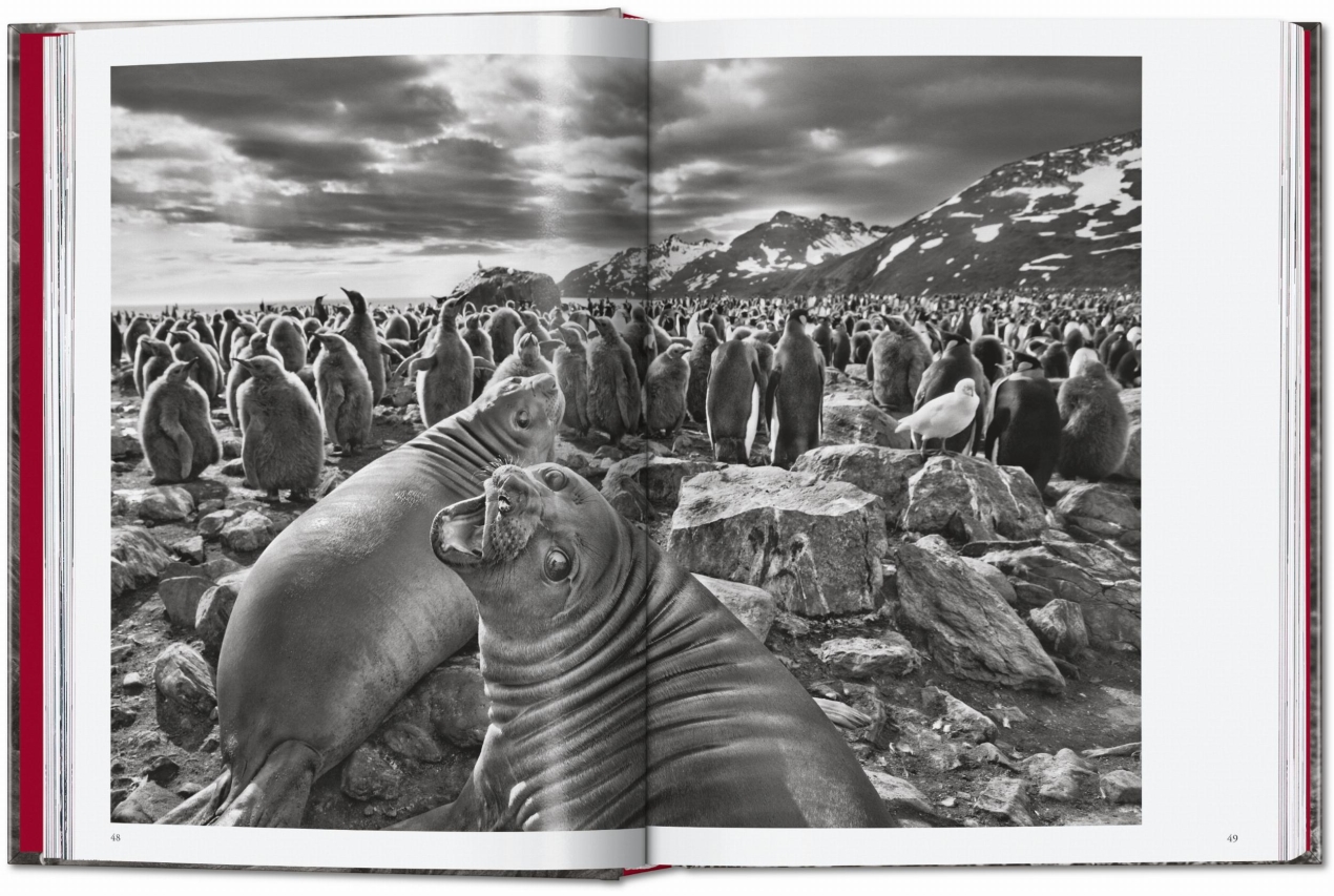 Sebastião Salgado. Genesi. 45th Ed. - Immagine 5 di 18