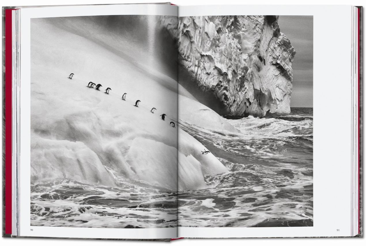 Sebastião Salgado. Genesi. 45th Ed. - Immagine 7 di 18