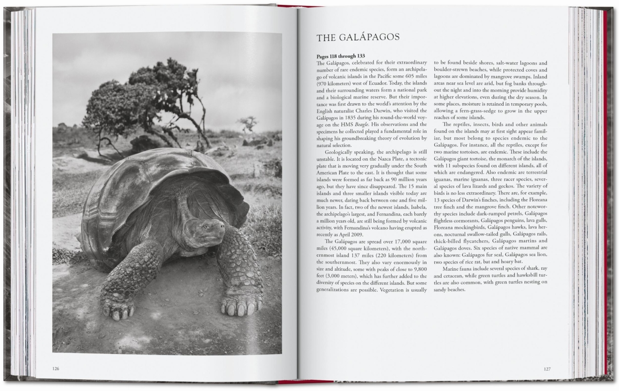 Sebastião Salgado. Genesi. 45th Ed. - Immagine 9 di 18
