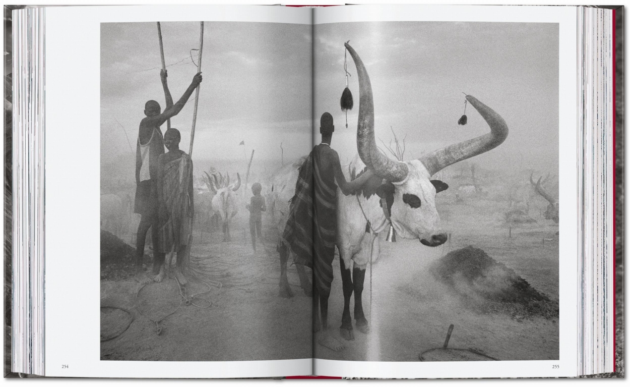 Sebastião Salgado. Genesi. 45th Ed. - Immagine 13 di 18
