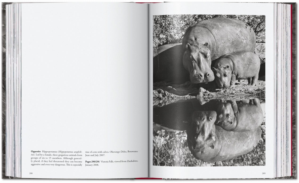 Sebastião Salgado. Genesi. 45th Ed. - Immagine 16 di 18