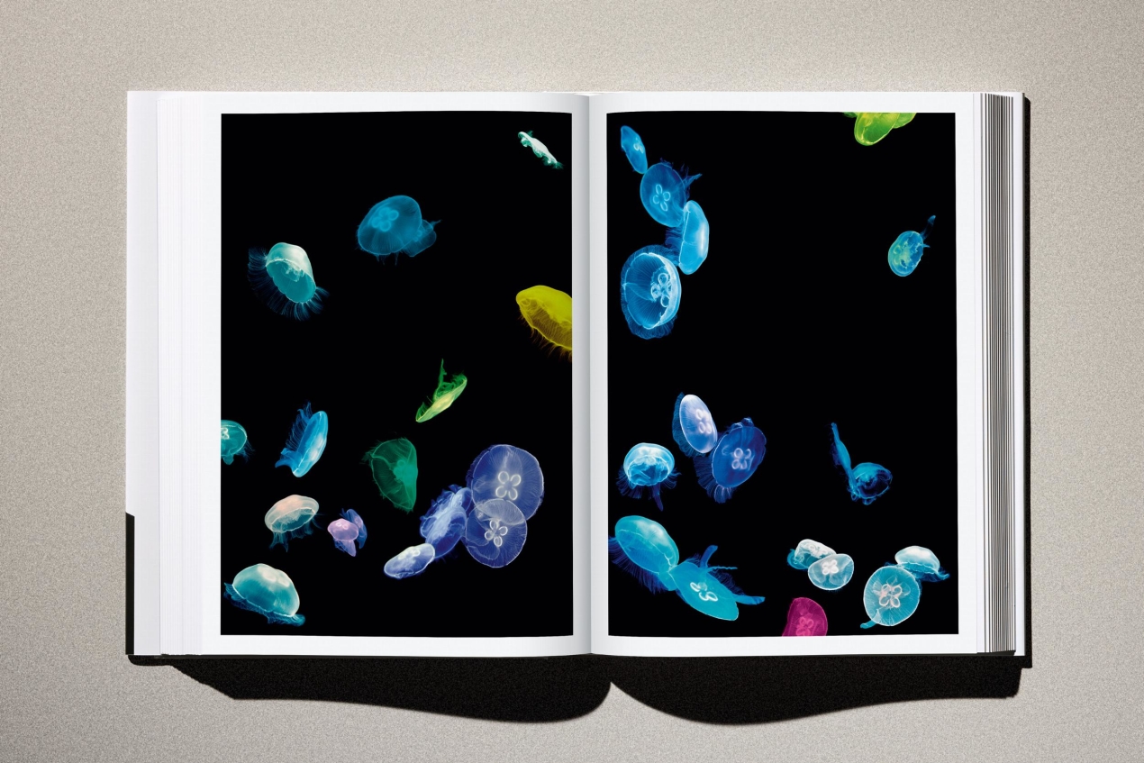 Albert Watson. Kaos. 2nd Edition. Art Edition No. 151–200, 'Keith Richards, New York City', 1988 - Image 19 of 31