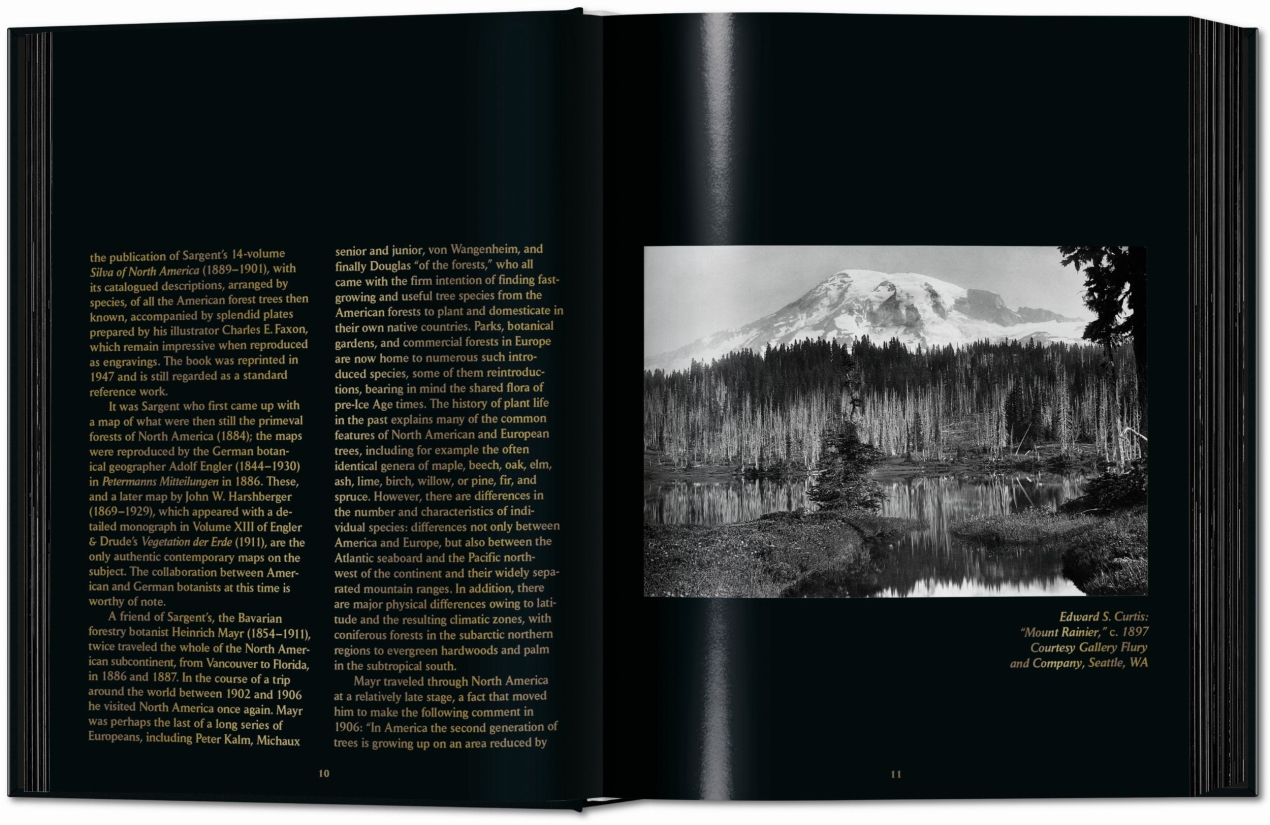 Romeyn B. Hough. The Woodbook. The Complete Plates - Image 4 of 15