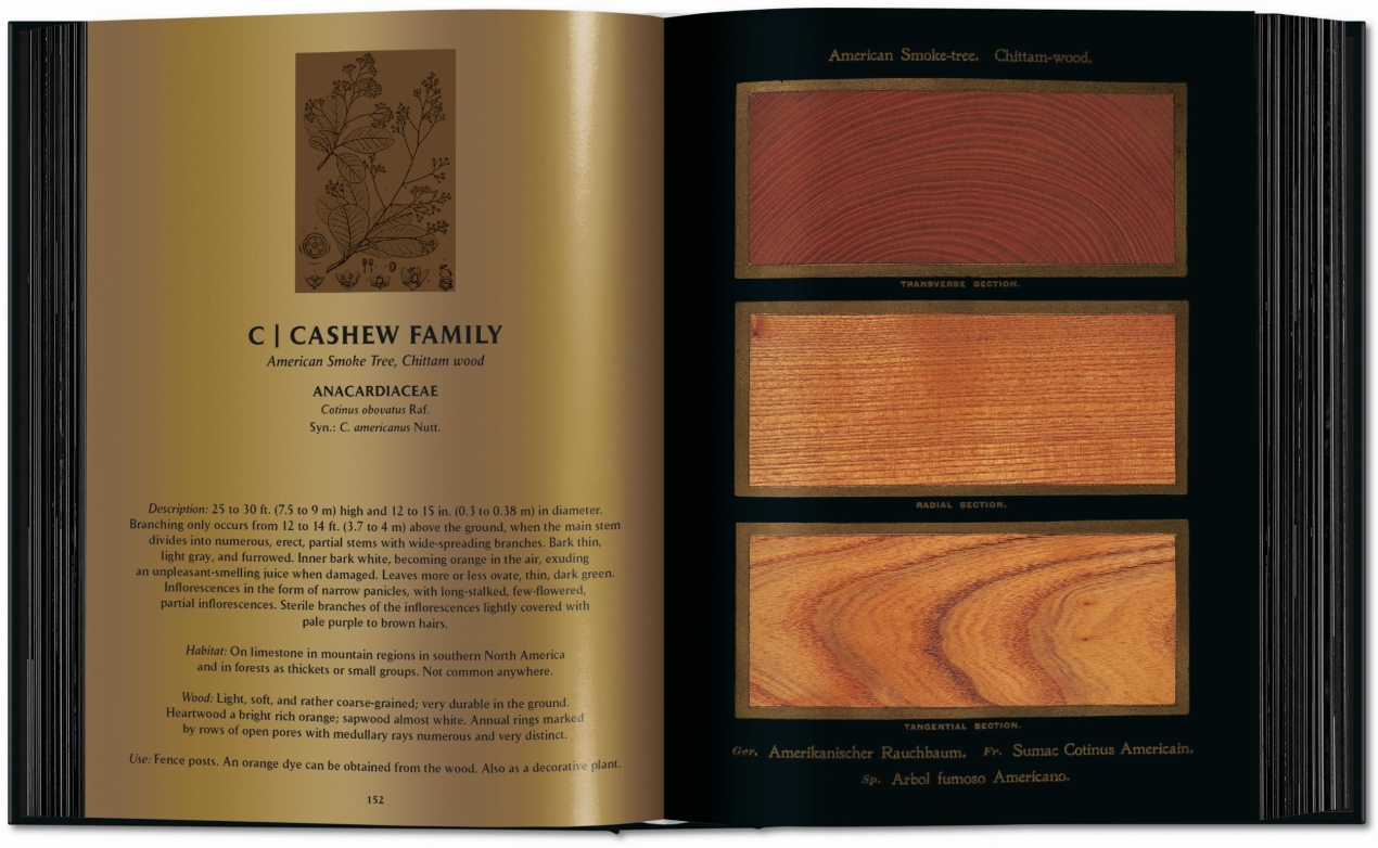 Romeyn B. Hough. The Woodbook. The Complete Plates - Image 6 of 15