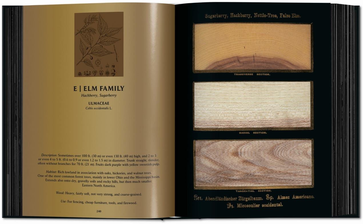 Romeyn B. Hough. The Woodbook. The Complete Plates - Image 8 of 15