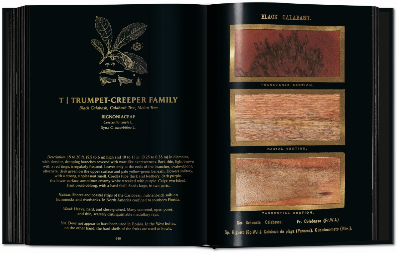 Romeyn B. Hough. The Woodbook. The Complete Plates - Image 15 of 15