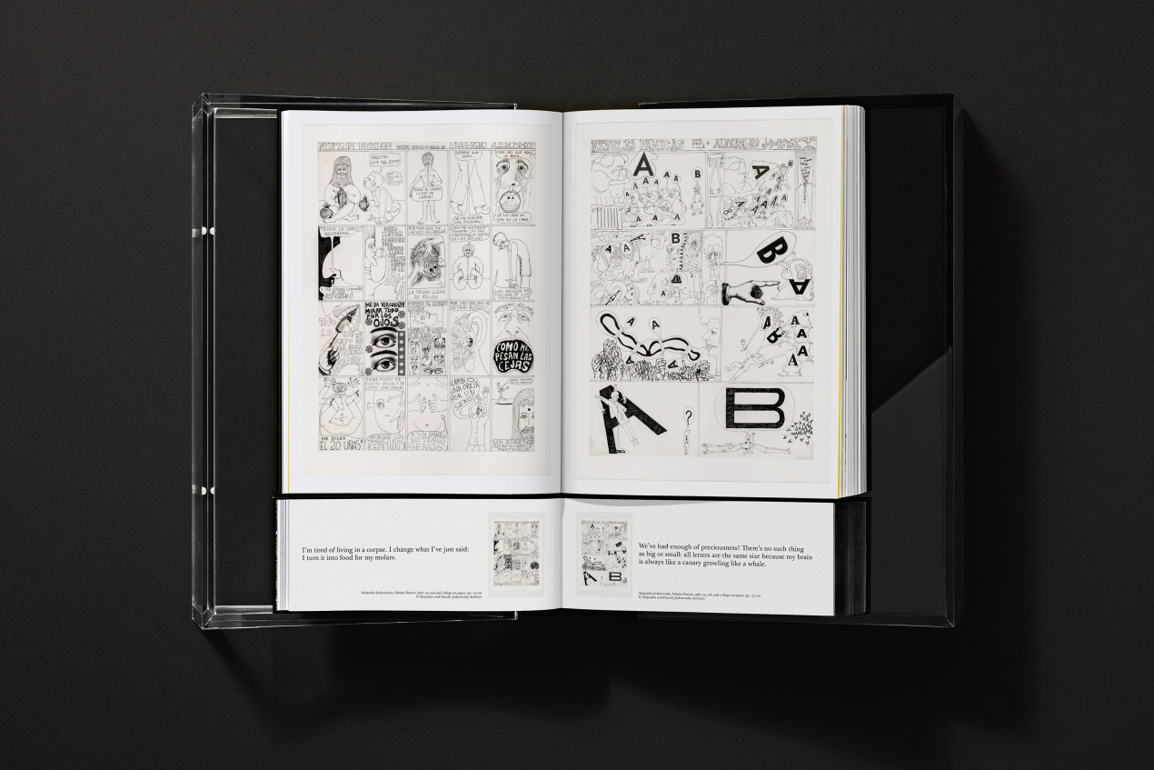 Alejandro Jodorowsky. Art Sin Fin - Image 11 of 39