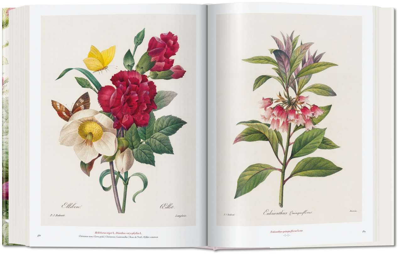 Redouté. The Book of Flowers - Image 8 of 8