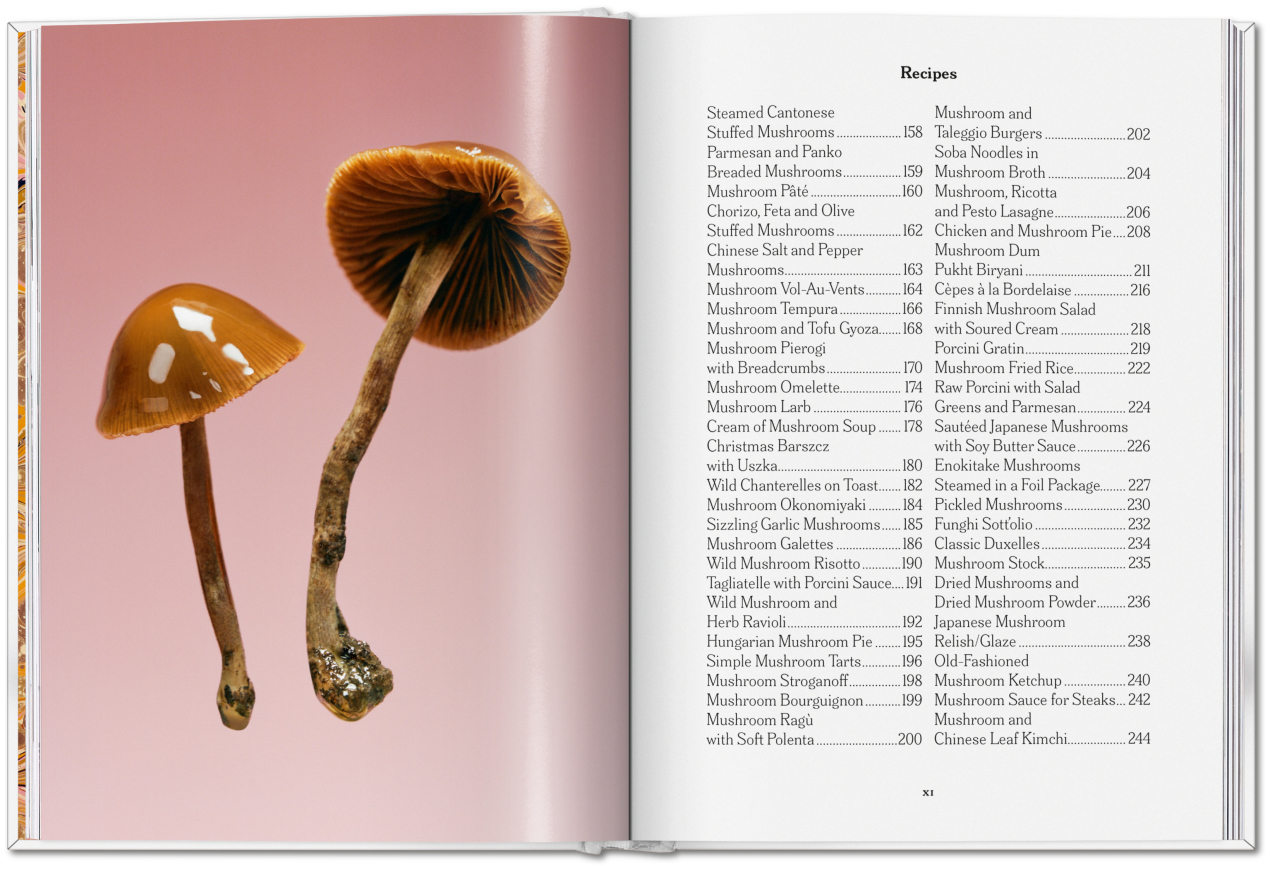 The Gourmand's Mushroom. A Collection of Stories & Recipes - Bild 5 von 23