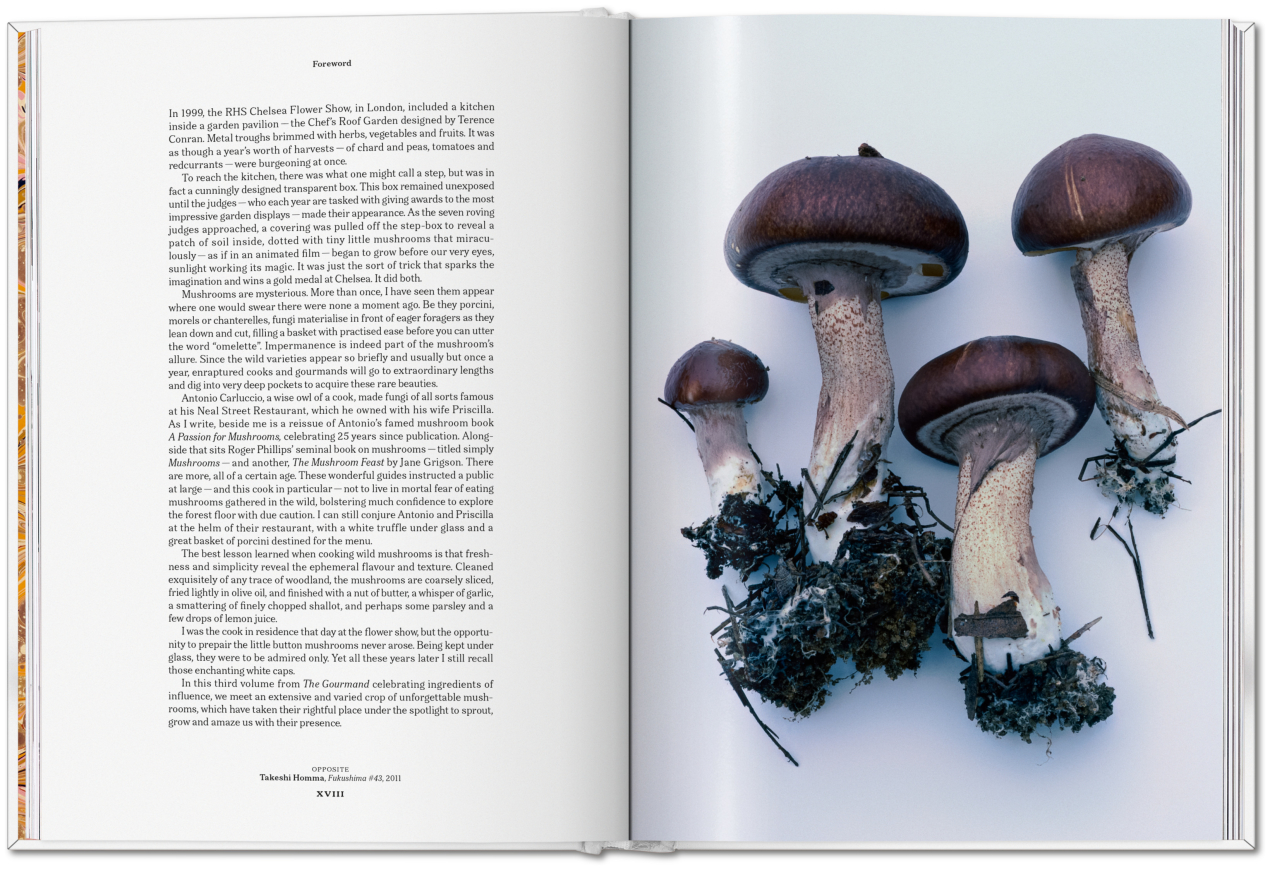 The Gourmand's Mushroom. A Collection of Stories & Recipes - Bild 7 von 23