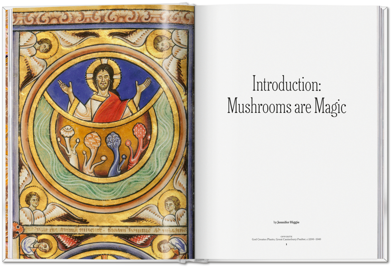 The Gourmand's Mushroom. A Collection of Stories & Recipes - Bild 8 von 23