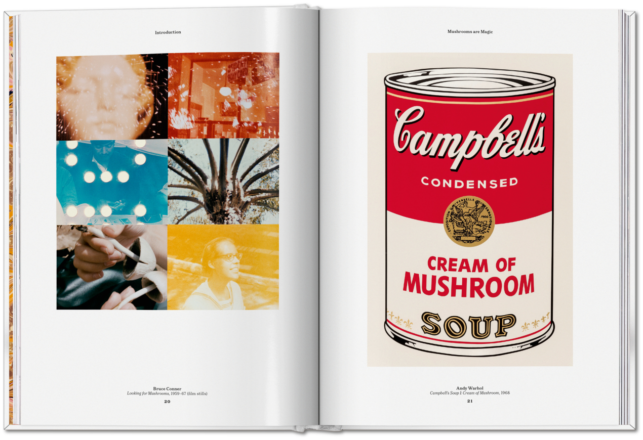 The Gourmand's Mushroom. A Collection of Stories & Recipes - Bild 10 von 23