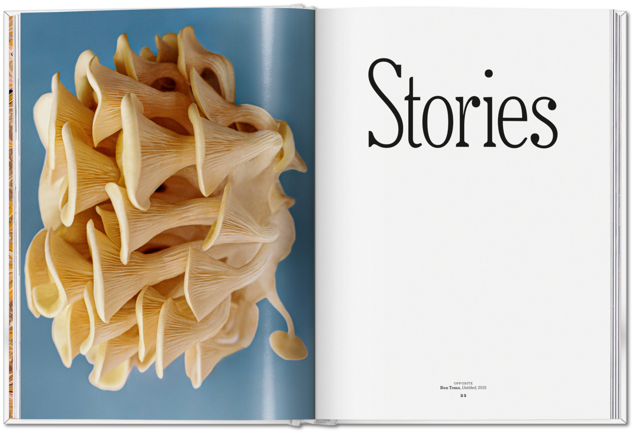 The Gourmand's Mushroom. A Collection of Stories & Recipes - Bild 11 von 23