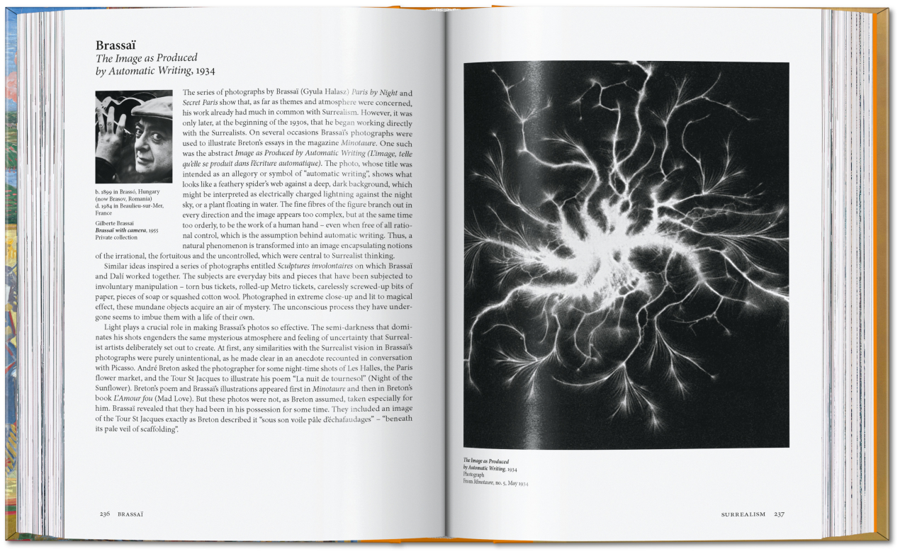 Art for All. Art History - Imagen 13 de 21