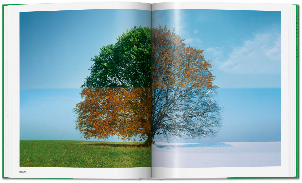 Norman Foster. Networks - Imagen 9 de 14