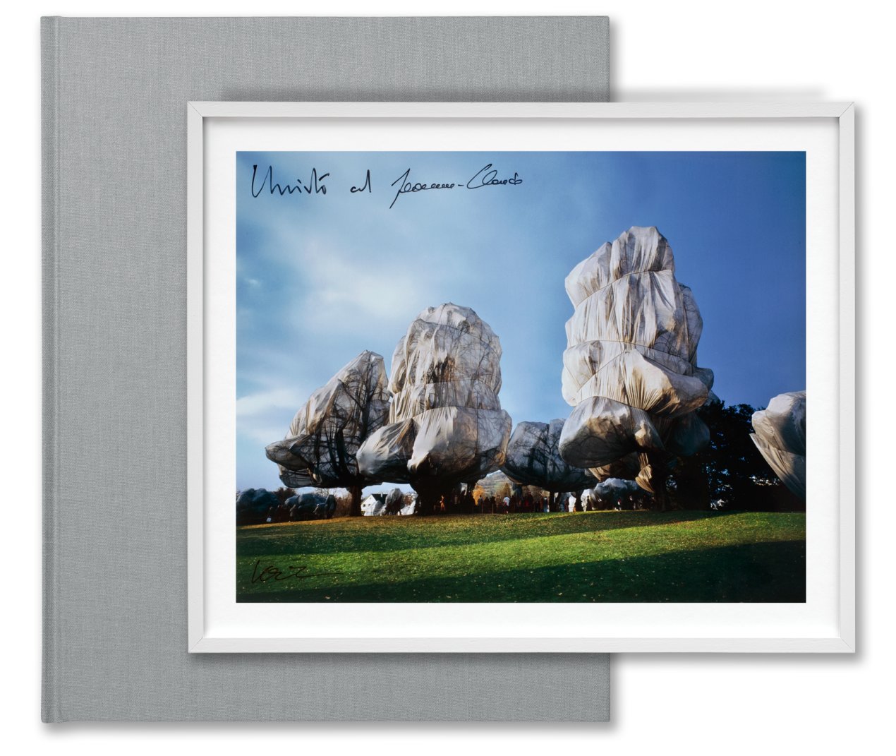 Christo and Jeanne-Claude. Wrapped Trees. Basel 1997–1998 - Immagine 1 di 16