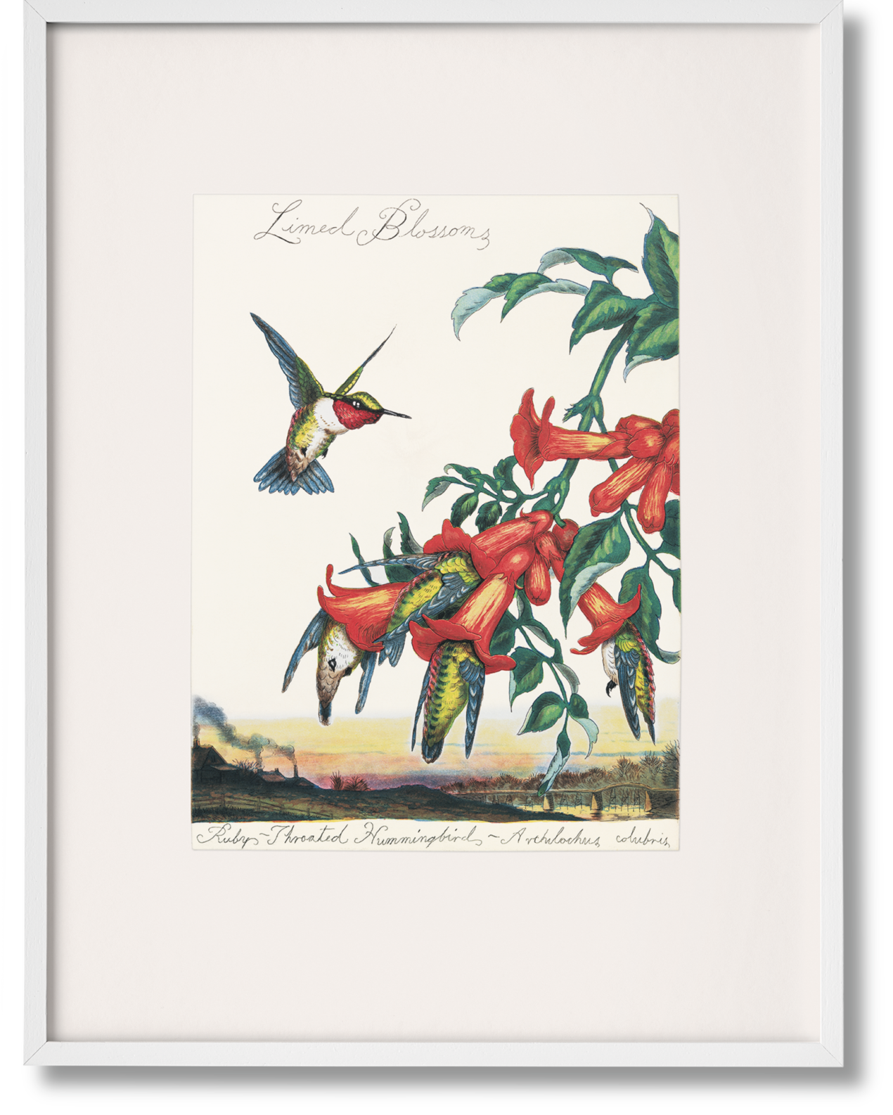 Walton Ford. Pancha Tantra. Art Edition - Bild 1 von 10