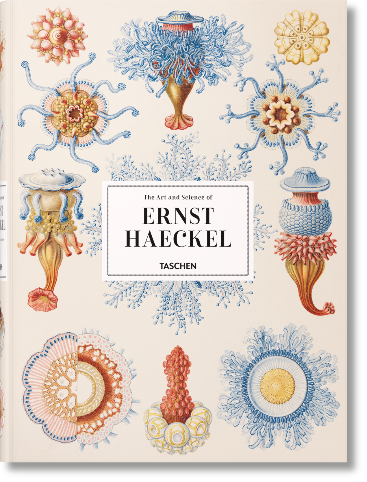 The Art and Science of Ernst Haeckel - Image 1 of 13