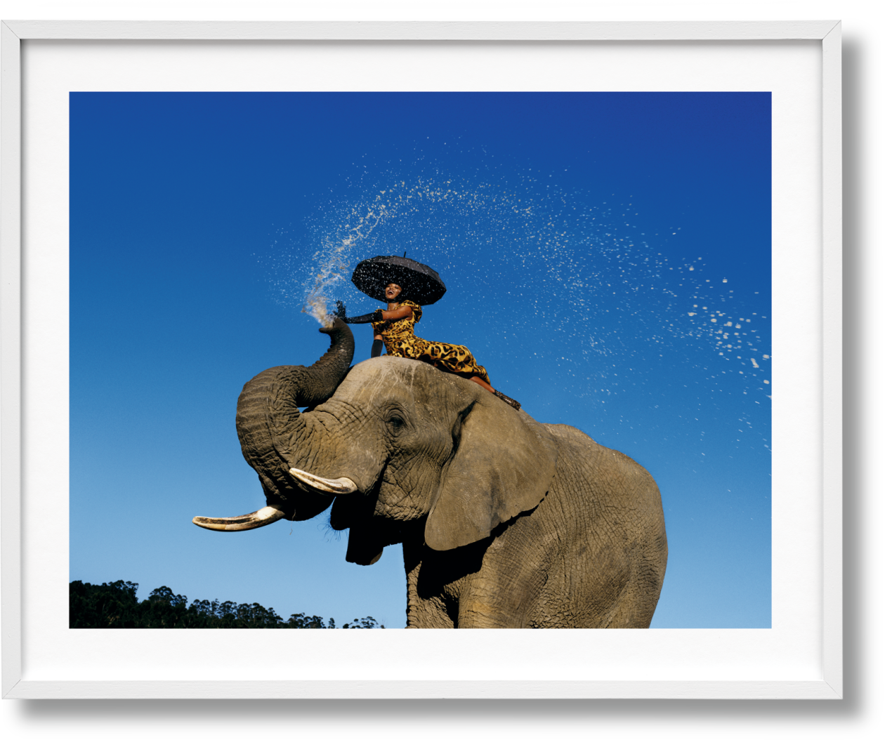 Naomi. Art Edition No. 1–100, Jean-Paul Goude ‘Harper’s Bazaar’ - Immagine 1 di 11