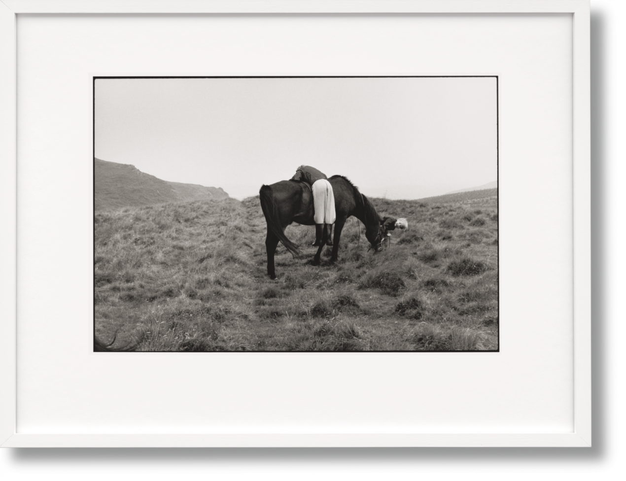 Linda McCartney. Life in Photographs, Art Edition No. 1–125 ‘Horse’ - Bild 1 von 8