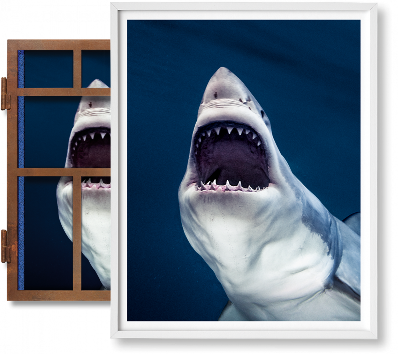 Michael Muller. Sharks, Art Edition No. 1–100 ‘Tear You Apart’ - Immagine 1 di 17