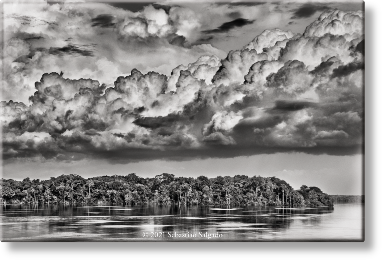 Sebastião Salgado. Amazônia. Magnet ‘Parana’ - Immagine 1 di 2