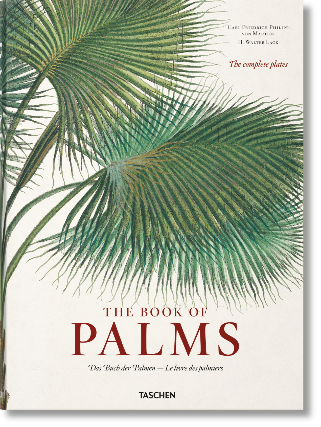Martius. The Book of Palms - Imagen 1 de 8