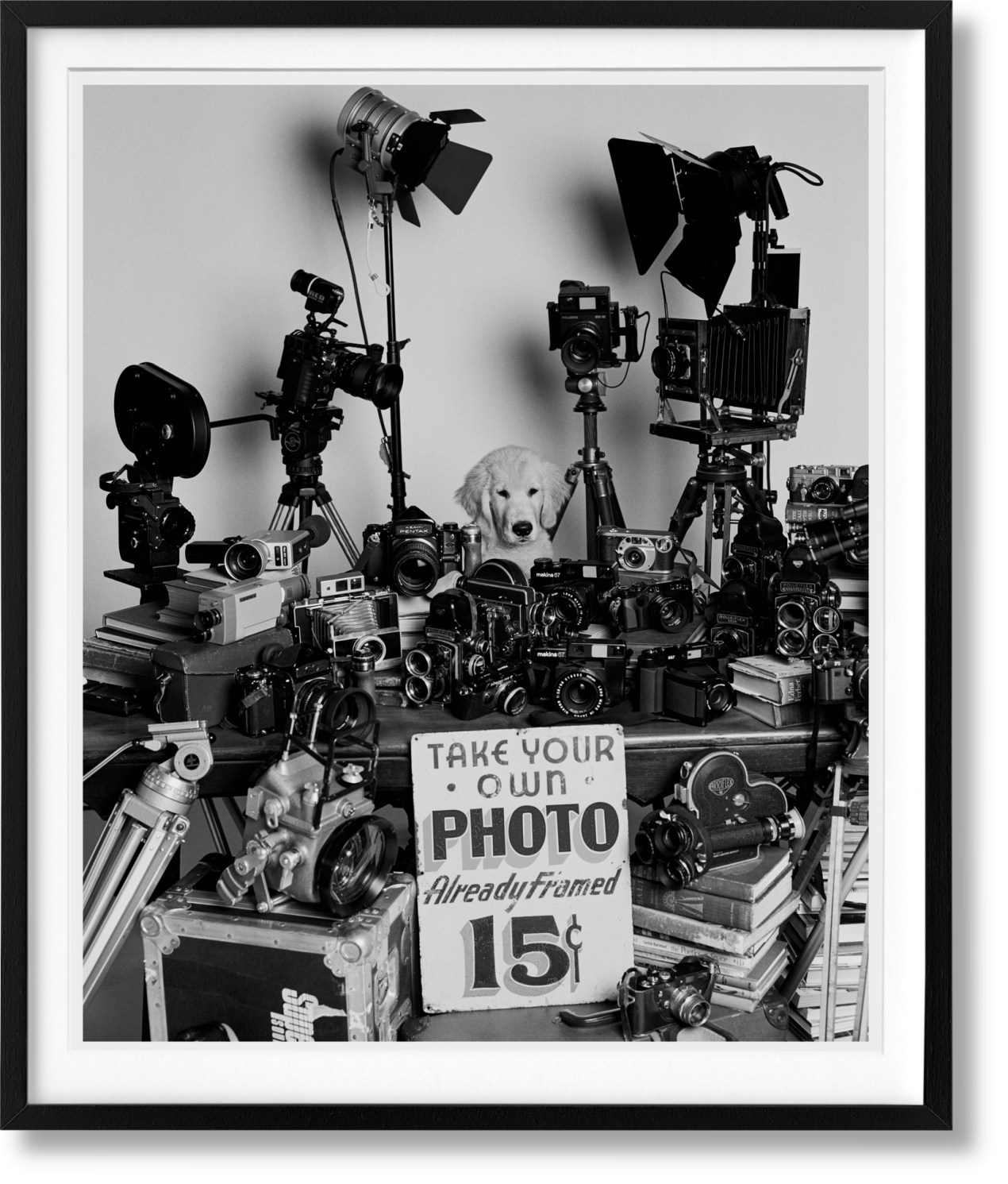 Bruce Weber. The Golden Retriever Photographic Society. Art Edition No. 101–200 ‘Hud, New York City, 2011’ - Imagen 1 de 20