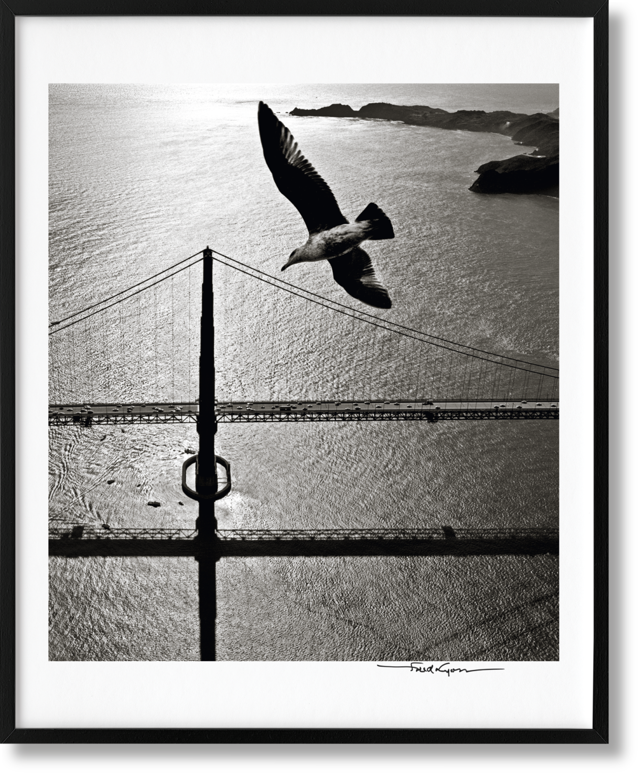 San Francisco. Portrait of a City, Art Edition No. 76–150 'Seagull over Golden Gate Bridge, early 1950s' - Bild 1 von 16