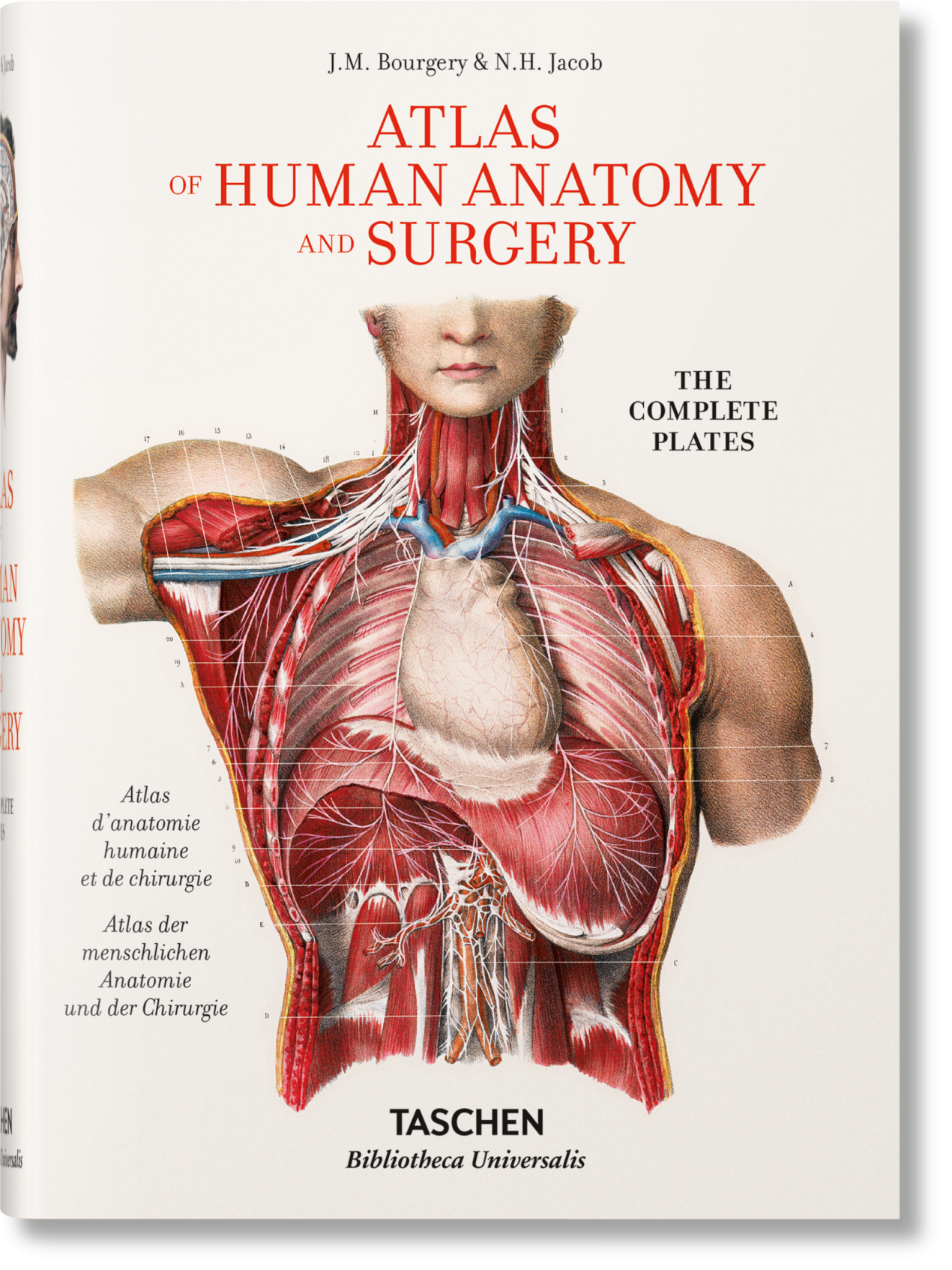 Bourgery. Atlas of Human Anatomy and Surgery - Imagen 1 de 7