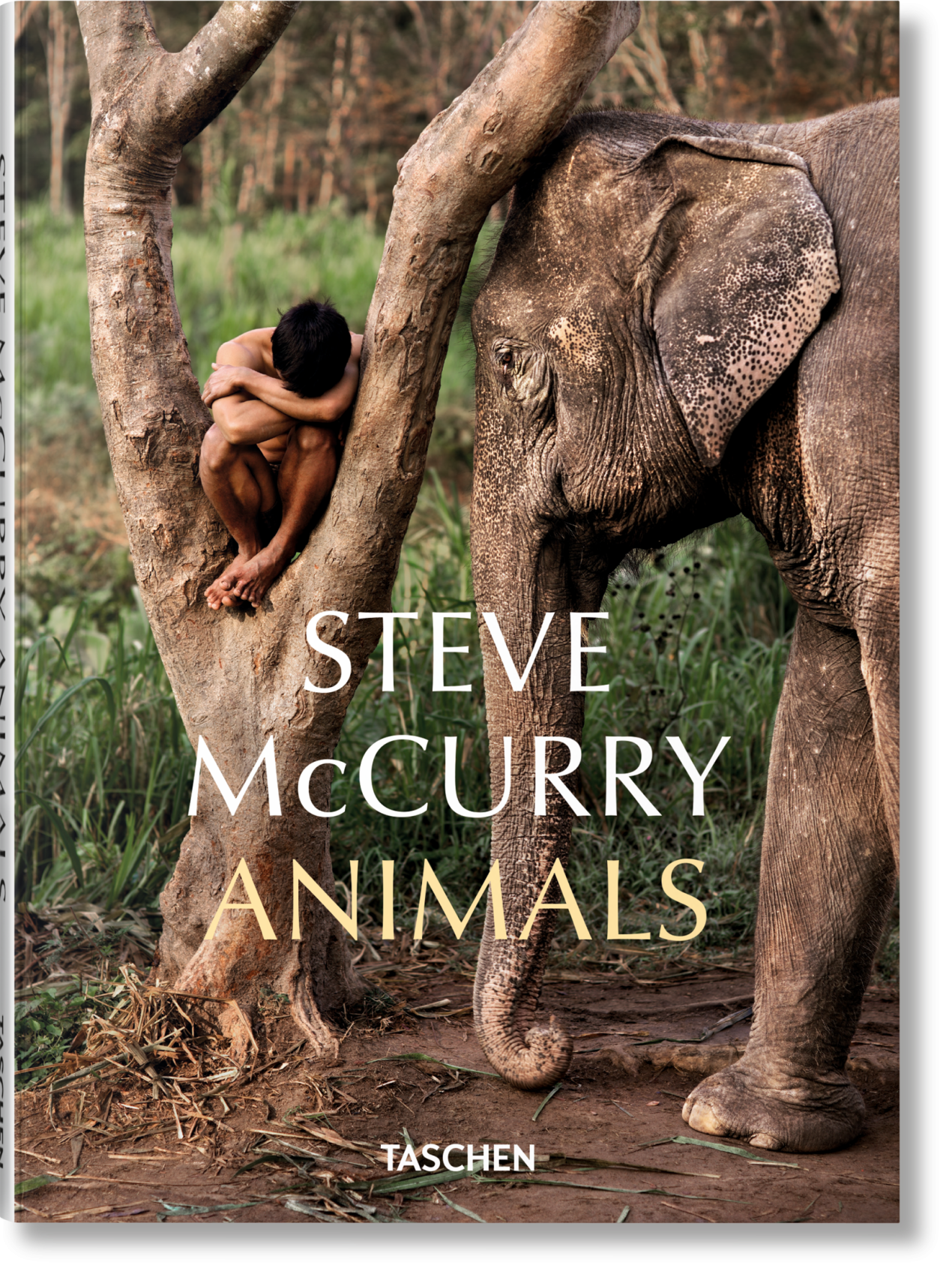 Steve McCurry. Animals - Image 1 de 9