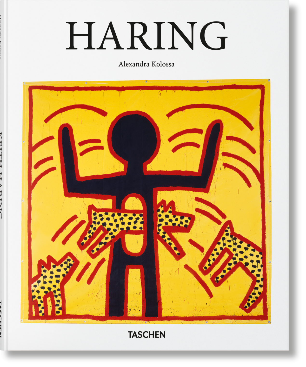Haring - Image 1 de 7