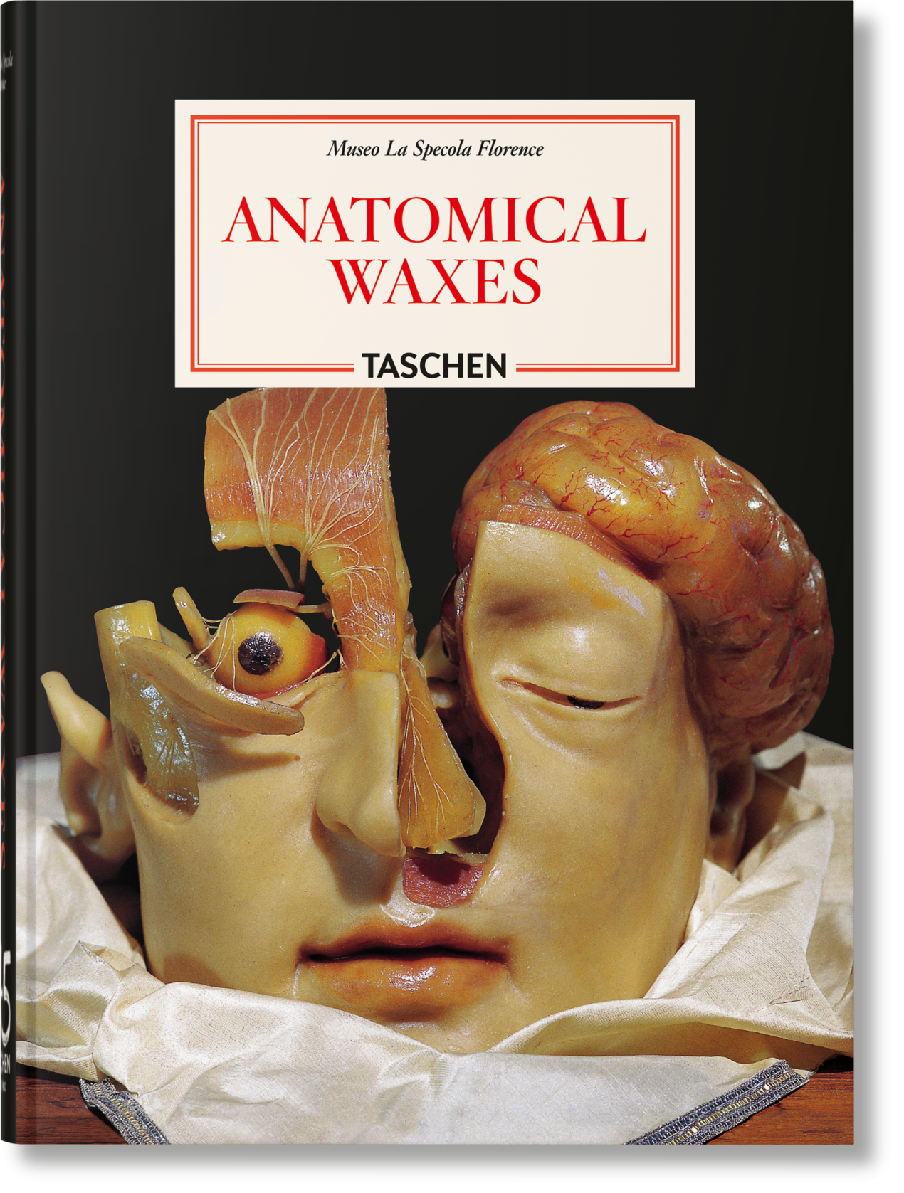 Anatomical Waxes. 45th Ed. - Bild 1 von 26