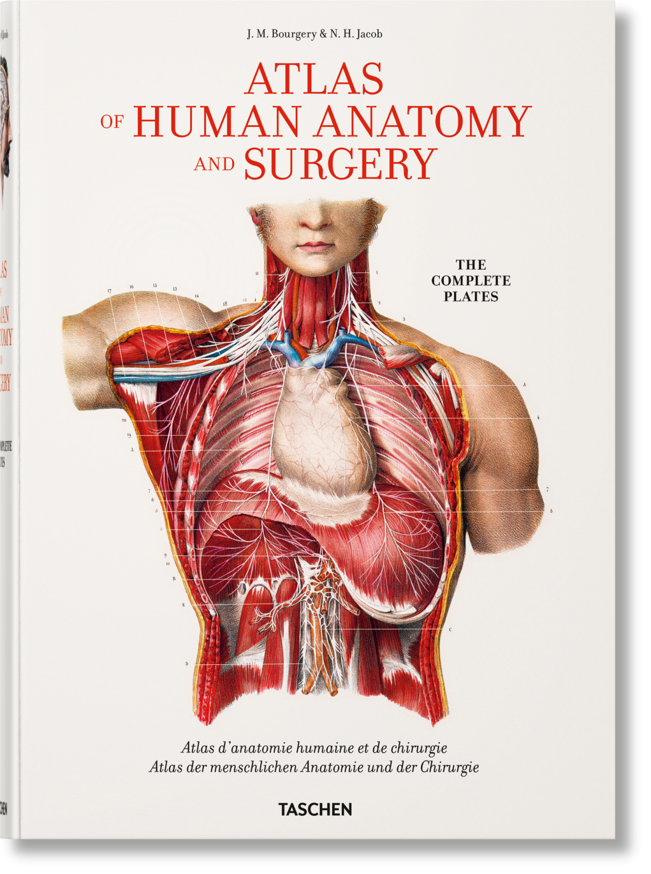 Bourgery. Atlas of Human Anatomy and Surgery - Bild 1 von 8