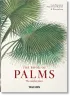 Martius. The Book of Palms. 40th Ed.