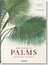 Martius. The Book of Palms