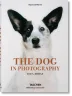 The Dog in Photography 1839–Today