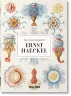 The Art and Science of Ernst Haeckel. 40th Ed.