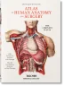 Bourgery. Atlas of Human Anatomy and Surgery