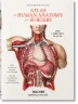 Bourgery. Atlas d’anatomie humaine et de chirurgie