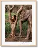 Steve McCurry. Animals. Art Edition No. 1–100 ‘Chiang Mai, Thailand, 2010’