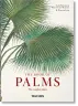 Martius. The Book of Palms. 45th Ed.