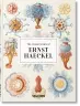 L’art et la science de Ernst Haeckel. 45th Ed.